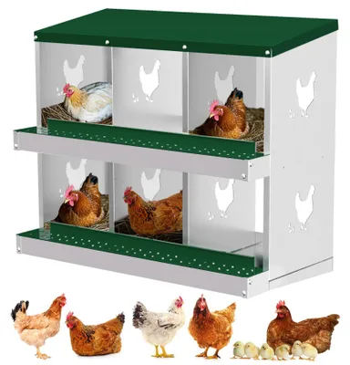 Produktbild von Rollnest für Hühner - Metall Legenest Box - 6 Abteile - Wandmontage ohne Füße - Leicht zu reinigen - Für Innen- und Außenbereich - Grün