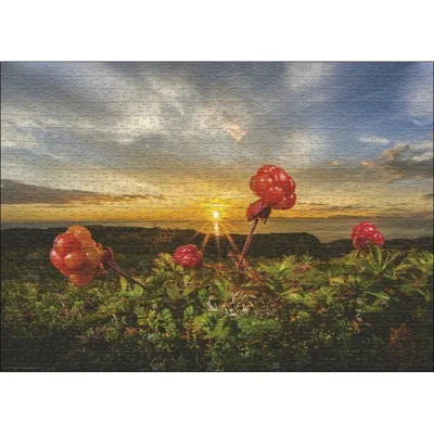 Produktbild von Heye Puzzle Cloudberries, 1000 Teile, 1000 Stück(e), Kunst