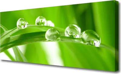 Produktbild von Tulup Leinwand-Bilder 125x50 Wandbild Canvas Kunstdruck Blätter Pflanzen