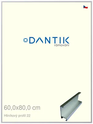 Zdjęcie produktu dla Rama DANTIK 60x80 | Profil ALU 7022 Srebrny mat (Plexi Clear)