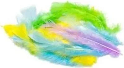 Image de Plumes pastel 3 g (Articles scolaires et de papeterie, Articles créatifs)