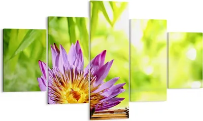 Produktbild von Bild auf Leinwand - Leinwandbild - Asien spa bambus blume - 125x70cm - Wand Bild - Wanddeko - Leinwanddruck - Bilder - Kunstdruck - Wanddekoration - Leinwand bilder - Wandkunst - EA125x70-2476