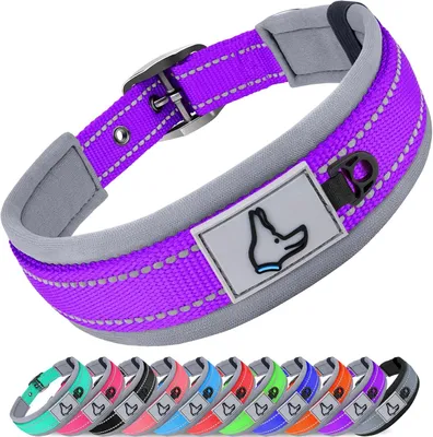 Image de Collier pour chien, réglable, réfléchissant, rembourré en néoprène, taille M, pour chiens de taille moyenne
