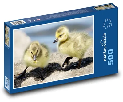Obrázok produktu pre martinpuzzle – Puzzle 500 – Maciatka