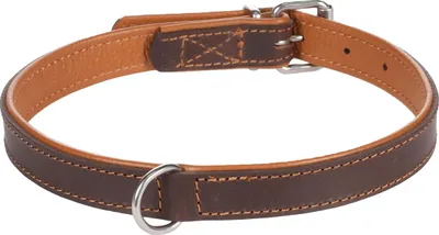 Produktbild von Flamingo Memphis gepolstertes Halsband braun, Maße: 42-50 cm / 22 mm