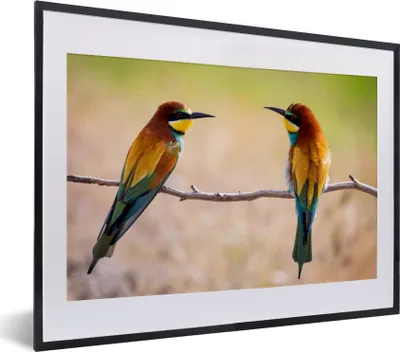 Produktbild von MuchoWow® Gerahmtes Poster Vögel - Bienenfresser - Tiere 40x30 cm - Poster mit Schwarzem Bilderrahmen Wandposter Rahmen Foto Bilder - Bilderrahmen - Poster im Rahmen