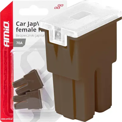 Image de Fusibles automobiles JAPVAL PAL Female 70A, jeu de 2 AMIO-03393