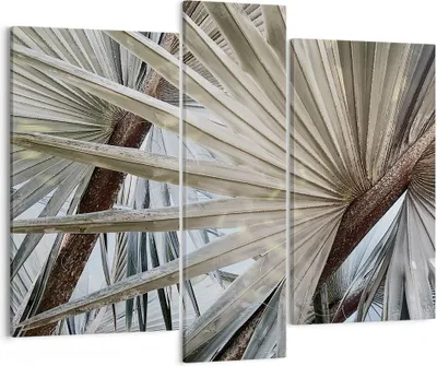 Produktbild von Bild auf Leinwand - Leinwandbild - 3 Teile - Blatt Palme Natur - 95x80cm - Wand Bild - Wanddeko - Wandbilder - Leinwanddruck - Bilder - Wanddekoration - Leinwand bilder - Wandbild - CB95x80-5056