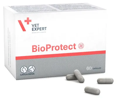 Productafbeelding van Vet Expert BioProtect 60 capsules. Probiotisch supplement voor honden en katten, ter ondersteuning van de darmflora