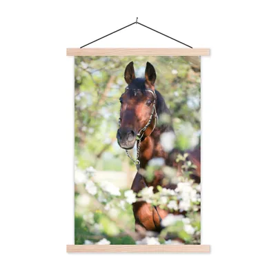 Produktbild von MuchoWow® Textilposter Pferde - Blüte - Frühling - Tiere 40x60 cm mit holzfarbenen Rahmen - Poster