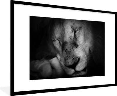 Produktbild von MuchoWow® MuchoWow® Gerahmtes Poster Tierprofil schlafender Löwe in schwarz und weiß 90x60 cm - Poster mit zchwarzem Bilderrahmen - Wanddekoration - Fotos