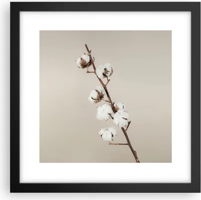 Produktbild von Gerahmtes Poster - Schwarzer Rahmen - Baumwolle Zweig Boho - 30x30 cm - Wand Bild - Wanddeko - Wandbilder - Kunstposter - Wandposter - Bilderrahmen - Bilder - Kunstdruck - P2BAC30x30-4730