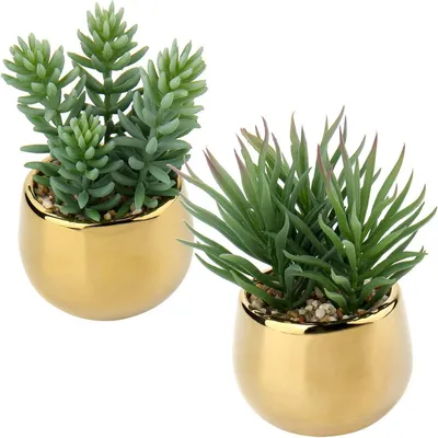 Produktbild von 2er Set Kunstsukkulenten im Keramiktopf Gold