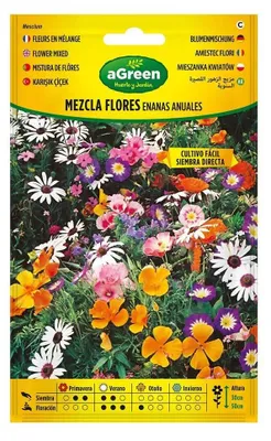 Produktbild von Agreen Samen Für Zwerg-mischblumen Einjährig Mehrfarbig Mehrfarbig One Size
