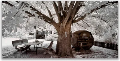 Produktbild von Tulup Leinwand-Bilder 140x70 Wandbild Canvas Kunstdruck Baum Natur