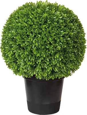 Produktbild von Fink BUCHSKUGEL, Kunstblume, Kunststoff, grün, L. 40 cm, B. 40 cm, H. 52 cm, D. 40 cm 187400