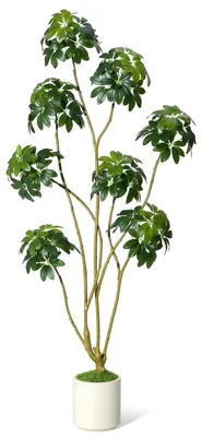 Zdjęcie produktu dla Sztuczna Szeflera (Schefflera) 180 cm – Realistyczna Roślina Doniczkowa do Domu, Biura i na Taras, Bez Pielęgnacji