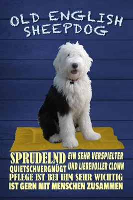 Produktbild von vianmo Holzschild 30x20 cm Old English Sheepdog Hund Tier Haustier