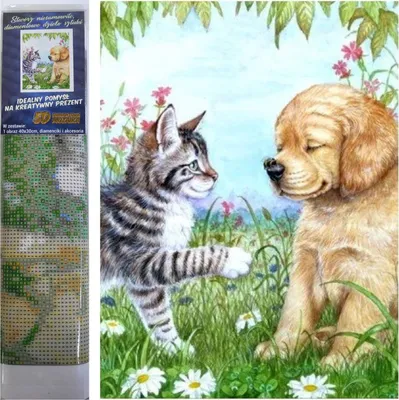 Immagine prodotto di Norimpex Diamante pittura Cucciolo e gattino 30x40cm