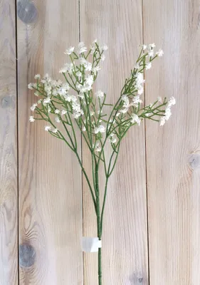 Produktbild von Schleierkrautzweig Dekozweig Schleierkraut 65cm mit Stiel