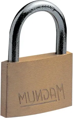 Image de Cadenas - Arceau en acier, finition laiton - 30 mm