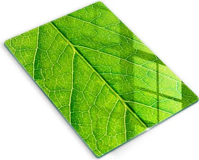 Produktbild von Abdeckung Glas - Küchenabdeckung - 40x52 cm - Abdeckplatte - Naturblattadern