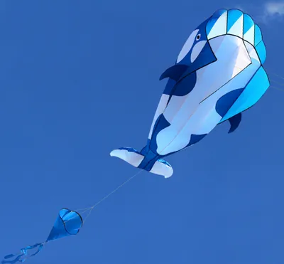 Obrázek produktu pro Lixada 3D Kite Giant Frameless Soft Parafoil Giant Whale Kite 【120 * 215cm】with 30m Single Line Flying Kite