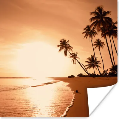 Produktbild von MuchoWow® Poster Sonnenuntergang - Tropisch - Palme - Strand - Meer 50x50 cm - Wohnzimmerdekoration