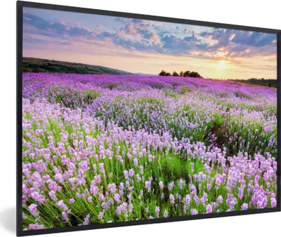Produktbild von MuchoWow® Gerahmtes Poster Blumen - Lavendel - Lila - Himmel - Sonnenuntergang - Wiese - Natur 90x60 cm - Poster mit Schwarzem Bilderrahmen Wandposter Rahmen Foto Bilder - Fotorahmen - Foto-Plakat