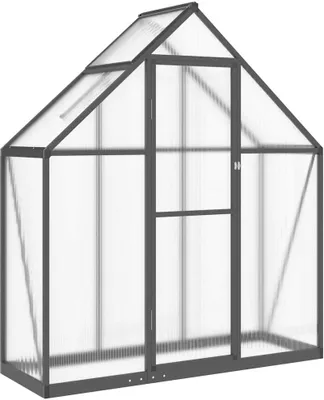 Produktbild von vidaXL Gewächshaus mit Fundamentrahmen Anthrazit 169x58x195 cm Alu