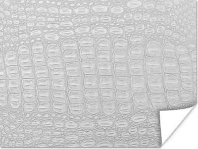 Produktbild von MuchoWow® Poster Leder - Textur - Tierhaut 160x120 cm - Foto Plakat