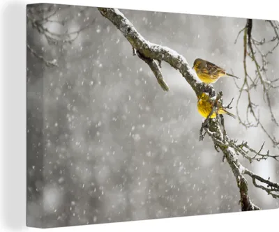 Zdjęcie produktu dla OneMillionCanvasses® - Obrazy na płótnie - 140x90 cm, Yellowhammer - Snow - Bird, grafika ścienna, dekoracja ścienna