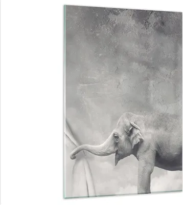 Produktbild von Bilder auf glas - Einteilig - Elefant Vorhang Abstraktion Phantasie - 80x120cm - Glasbilder - Wandbilder - Bilder - Wanddekoration aus Glas - Glas Bilder - Wandbild auf Glas - GPA80x120-3011