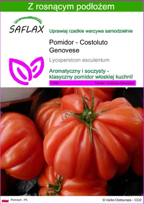 Zdjęcie produktu dla SAFLAX - Pomidor - Costoluto Genovese - 10 Nasiona - Z podłożem uprawowym wolnym od zarazków - Lycopersicon esculentum