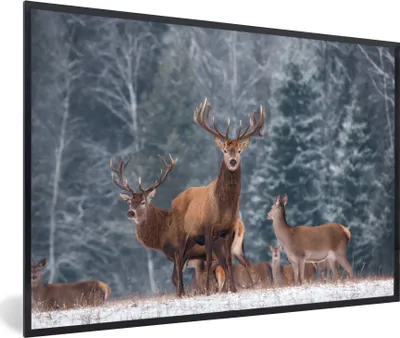 Produktbild von MuchoWow® MuchoWow® Gerahmtes Poster Hirsche - Tiere - Natur 60x40 cm - Poster mit zchwarzem Bilderrahmen - Printing - Wanddeko Schlafzimmer