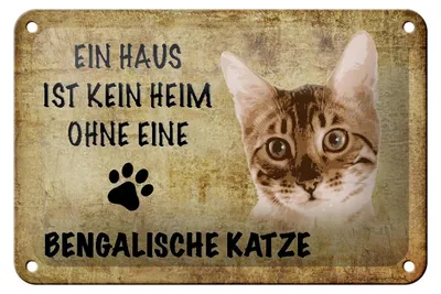 Produktbild von Blechschild Spruch 18x12cm Bengalische Katze ohne kein Heim
