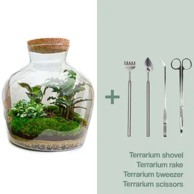 Produktbild von Flaschengarten "Fat Joe" DIY-Pflanzenterrarium 30 cm incl. Rechen, Schaufel, Pinzette und Schere