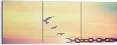 Produktbild von Bild auf Leinwand - Leinwandbild - Vogel Natur Wiese - 150x50cm - Wand Bild - Wanddeko - Wandbilder - Leinwanddruck - Bilder - Kunstdruck - Wanddekoration - Leinwand bilder - Wandkunst - CA150x50-3917