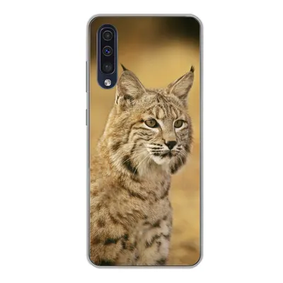Produktbild von MuchoWow® Handyhülle Schutzhülle Hülle für Samsung Galaxy A50 Luchs - Braun - Gras Silikon Softcase Handy Hülle - Mobiltelefonhülle