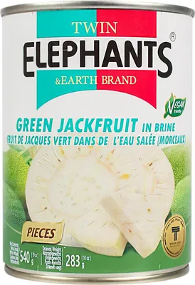 Immagine prodotto di Twin Elephant Earth Jackfruit verde 540 g