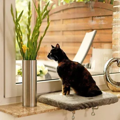 Produktbild von Famanu Katzenfensterliege mit Saugnäpfen, faltbares Katzenbett mit umkehrbarem Bezug, dunkelgrau
