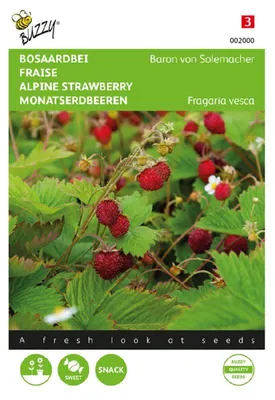 Productafbeelding van Maandschep aardbeien 'Rügen Baron von Solemacher' | Aardbeizaden van Buzzy Seeds