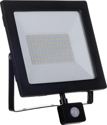 Productafbeelding van GERMINA LED-schijnwerper 100W, buitenlamp, IP65