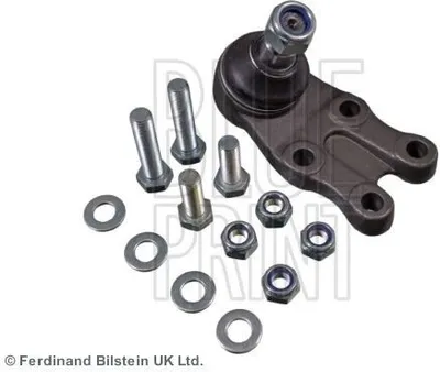 Produktbild von BLUE PRINT Traggelenk Vorne Links Unten Vorne Rechts für HYUNDAI H-1 Travel (TQ) ADG08635