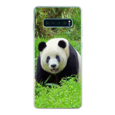 Produktbild von MuchoWow® Handyhülle Schutzhülle Hülle für Samsung Galaxy S10 Plus Panda - Gras - Tier Silikon Softcase Handy Hülle - Schutzhülle