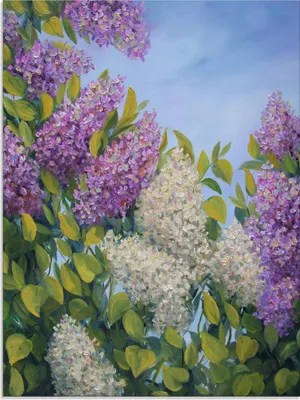 Produktbild von ARTland Glasbild Fliederbusch Größe: 45x60 cm