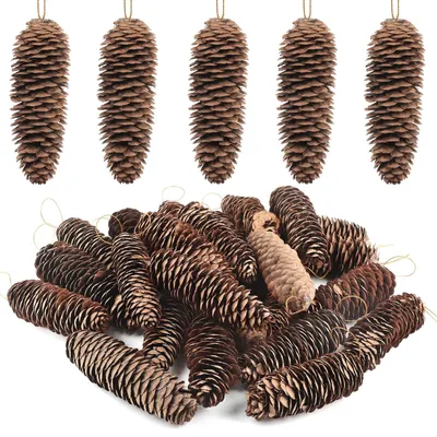 Immagine prodotto di 24 pigne naturali con cordoncini per decorazioni