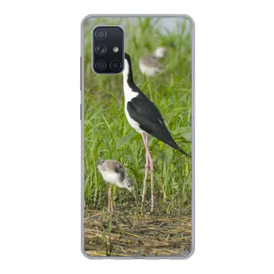Produktbild von MuchoWow® Handyhülle Schutzhülle Hülle für Samsung Galaxy A71 Vogel - Gras - Küken - Sumpf Silikon Softcase Handy Hülle - Kartenbesitzer