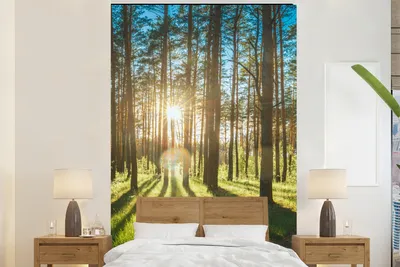 Produktbild von MuchoWow® Fototapete für Wohnzimmer oder Schlafzimmer Wandtapete Vinyl Motivtapete Sonne - Bäume - Landschaft - Gras - 160x240 cm - Vinyltapete