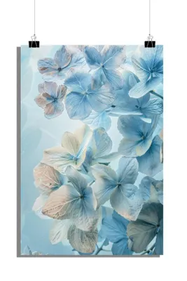 Produktbild von Blaue Blumen Poster - Natur Poster - Blumen Poster - Schönheits Poster - 51x71cm - Perfekt zum Einrahmen